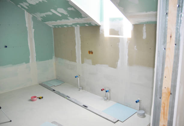 Best Basement Mold Removal  in Meadowdale, WA