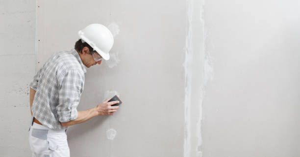 Reliable Meadowdale, WA Mold Removal Solutions