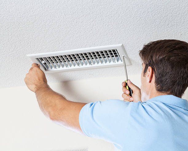 Best Emergency Mold Remediation  in Meadowdale, WA